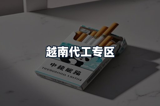 越南代工专区